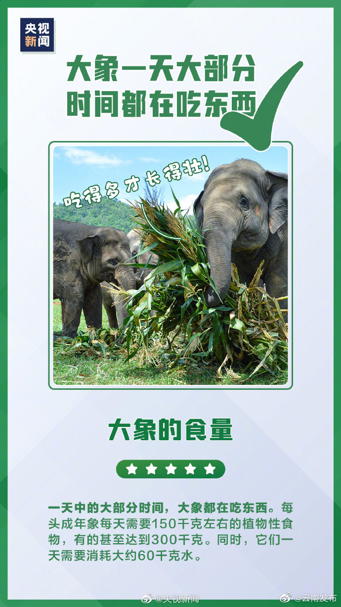 “云南发布”微博
