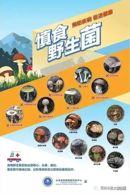 昆明市黑龙潭公园