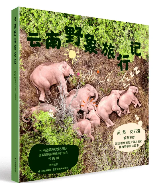 云南省博物馆