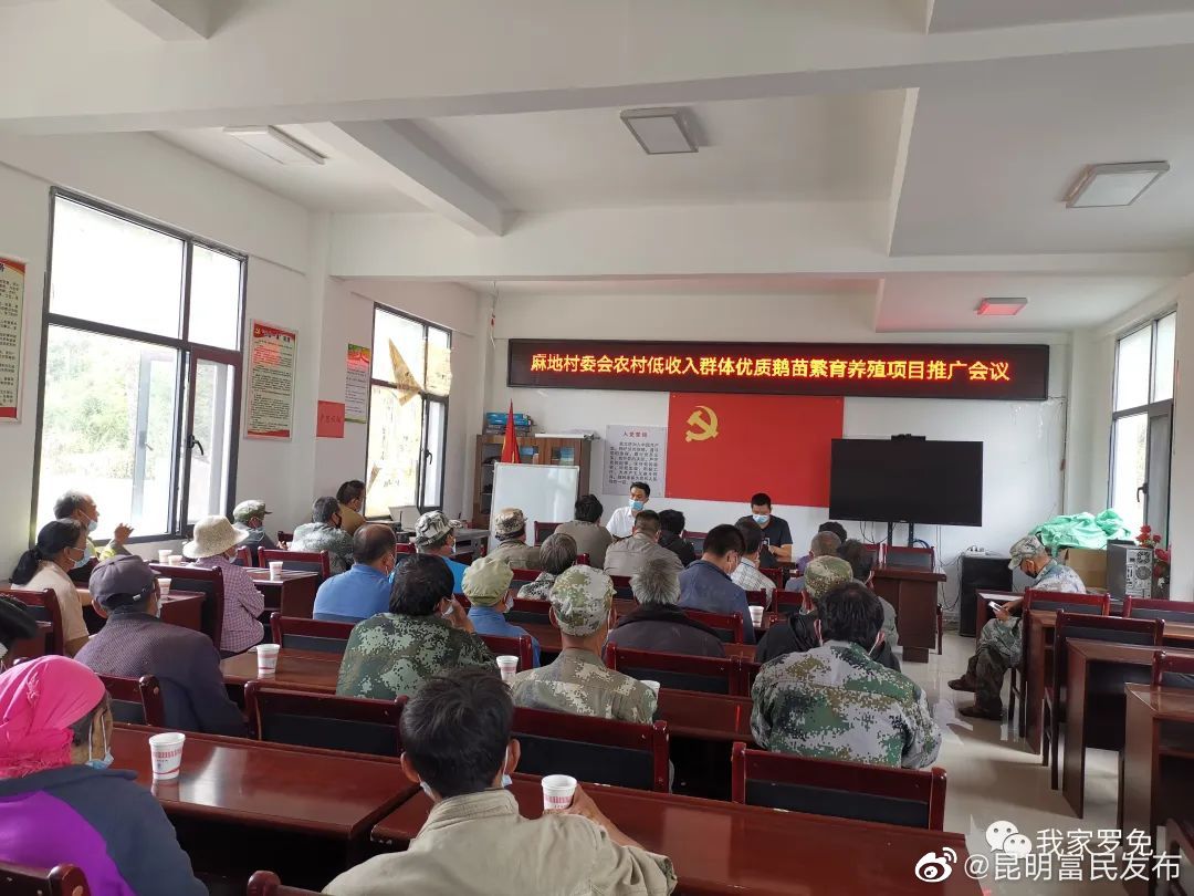 罗免镇：探索养鹅致富路 助农增收新举措