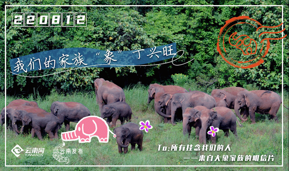 一部手机游云南