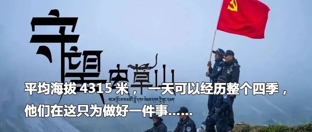 云南政法