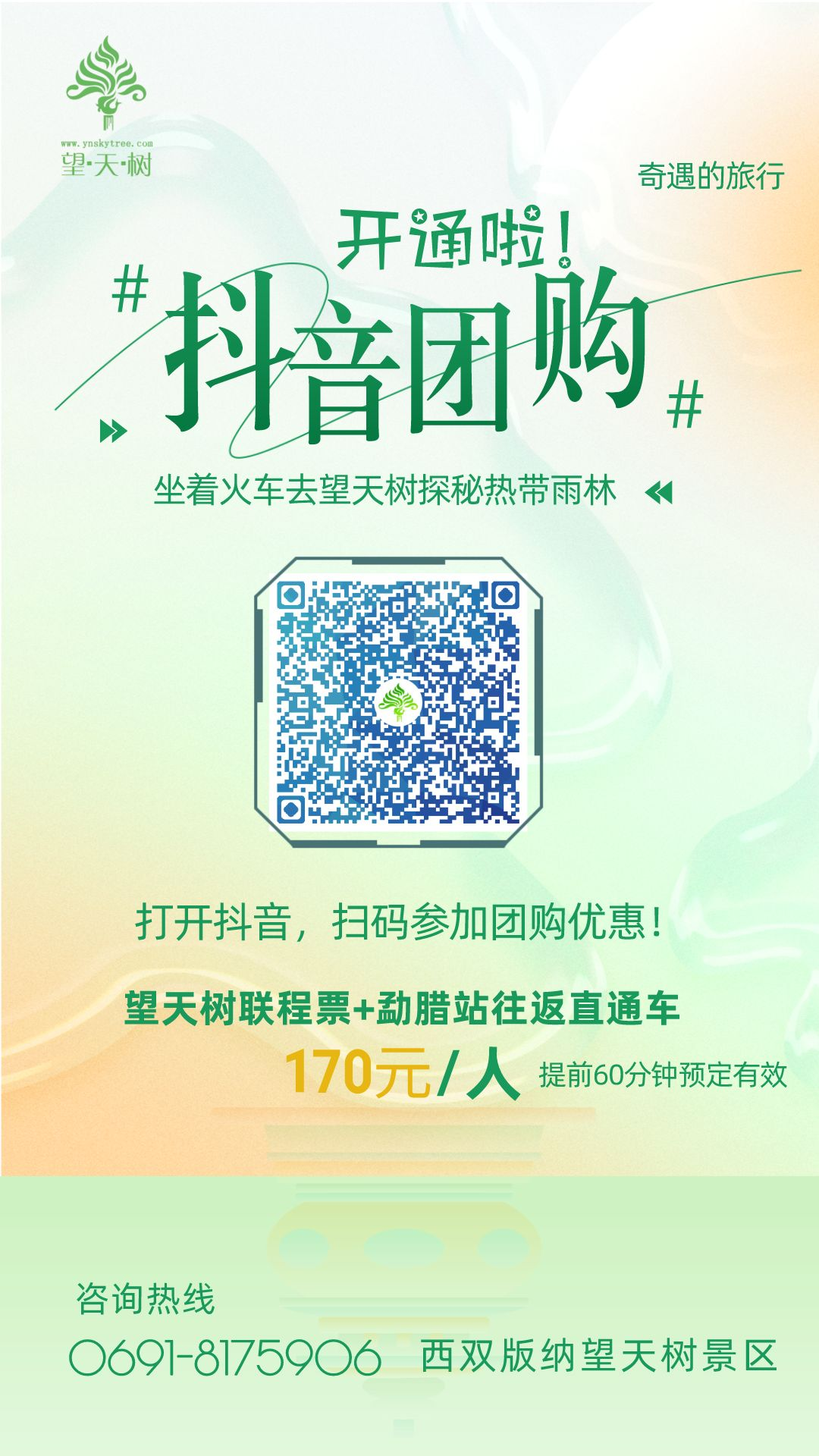 西双版纳望天树景区