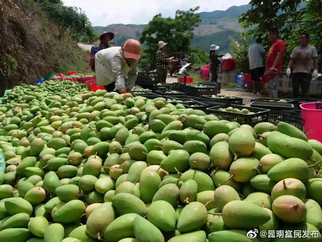 “昆明富民发布”微博