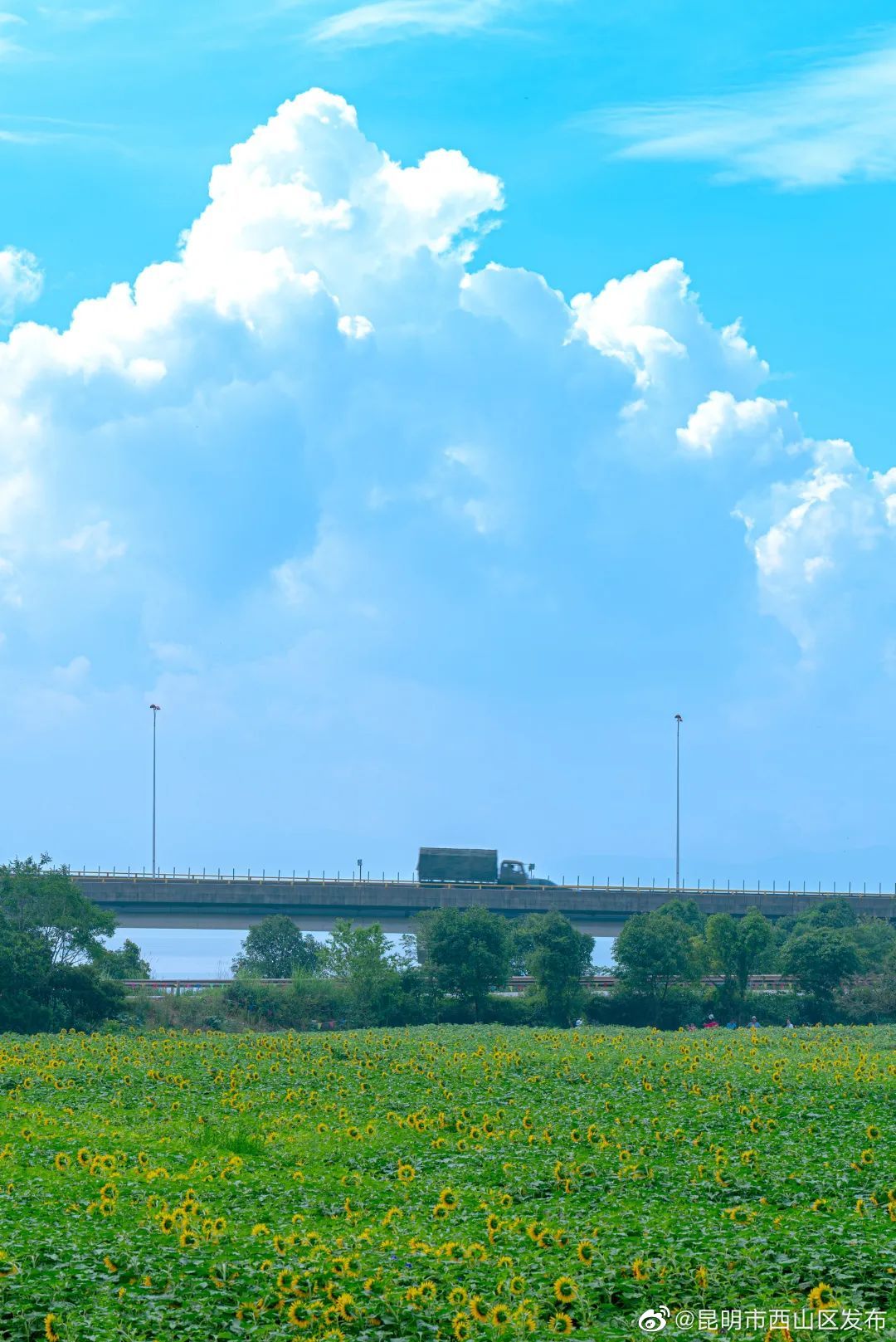 昆明市西山区发布