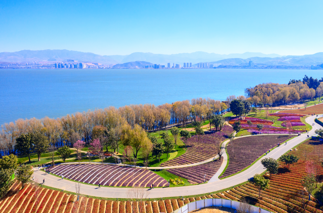 云南省文化和旅游厅