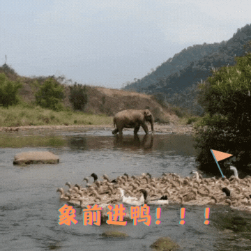 普洱日报