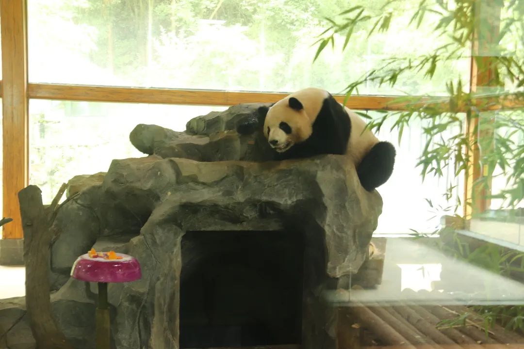 云南野生动物园