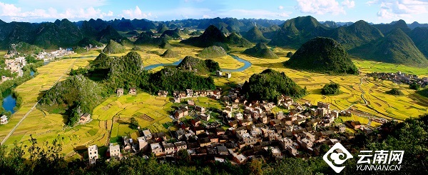 云南省文化和旅游厅