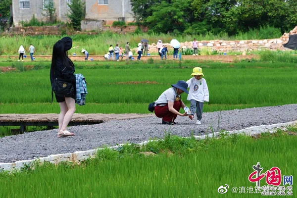滇池旅游度假区