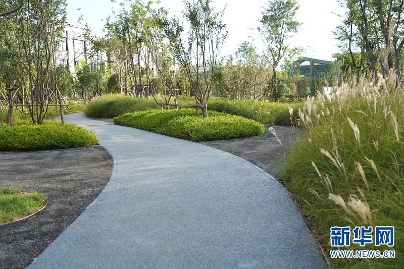 新华网云南频道