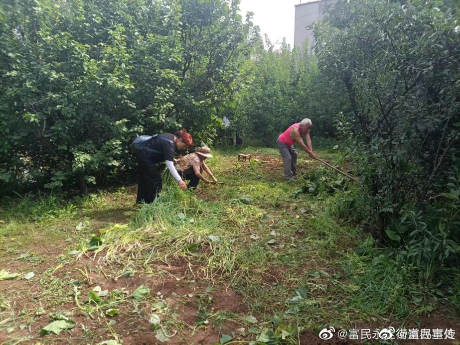 永定街道开展螳螂川河道清理整治专项行动