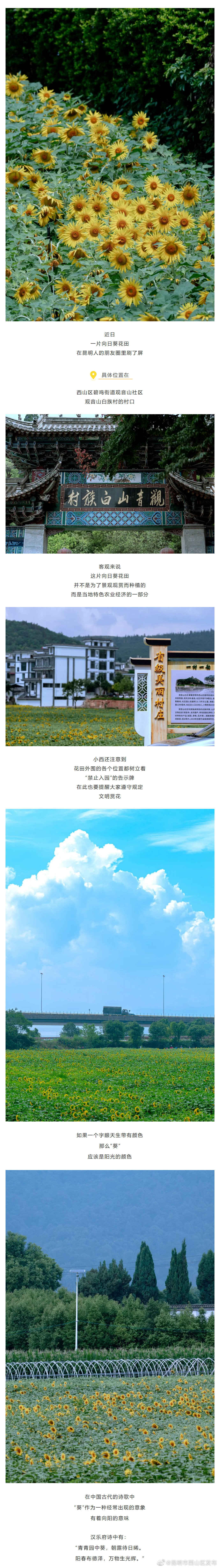 昆明市西山区发布