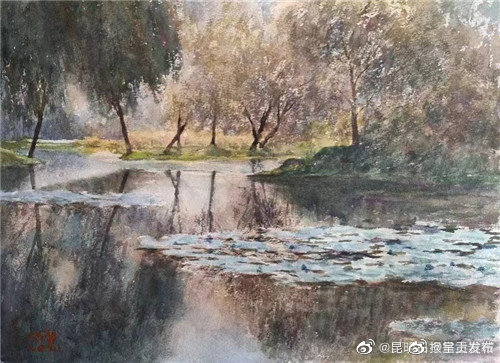 呈贡发布