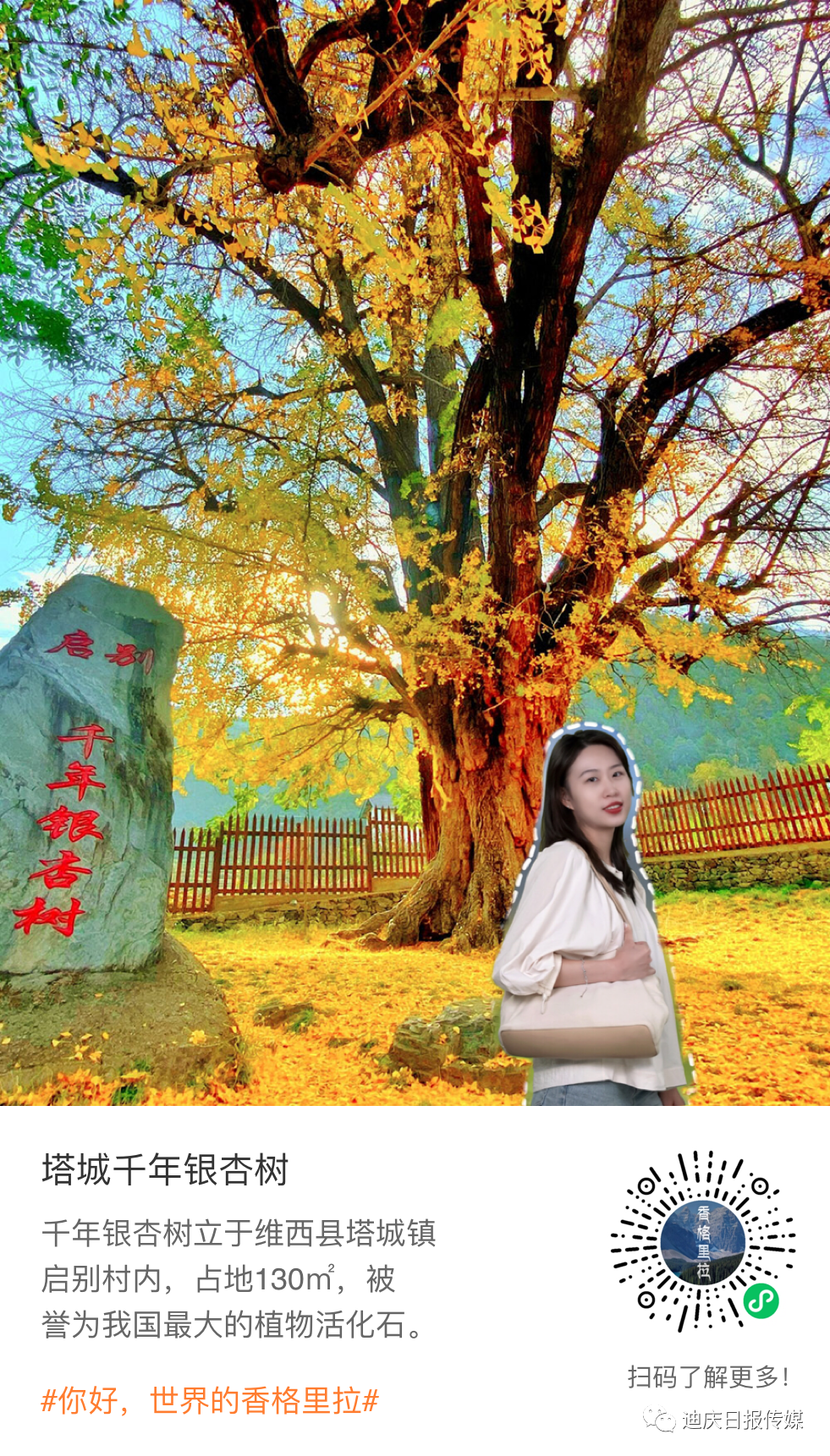 迪庆日报传媒