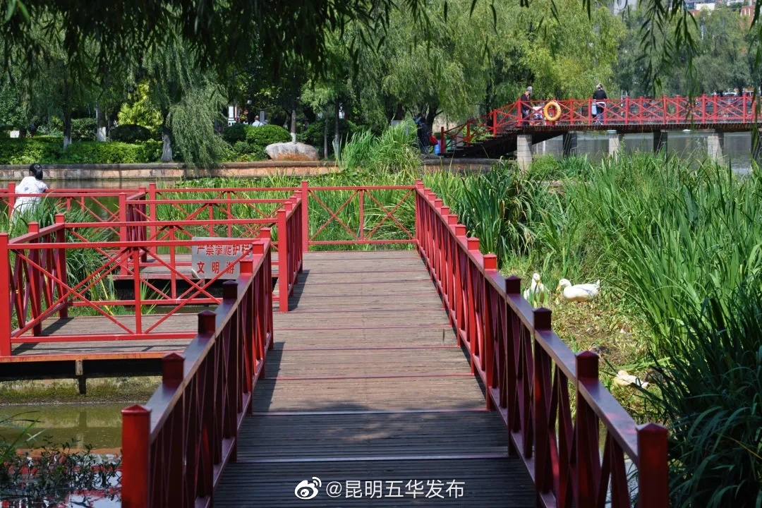 “昆明五华发布”微博