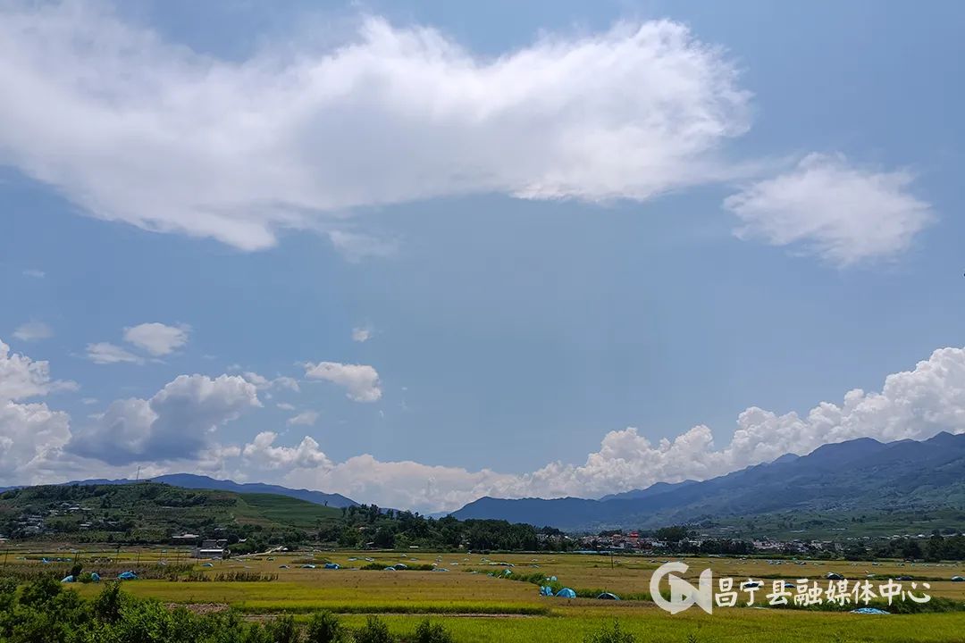 保山新闻网