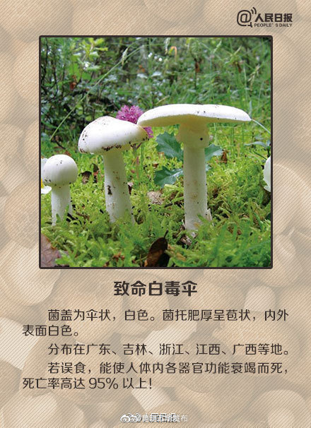 “昆明五华发布”微博