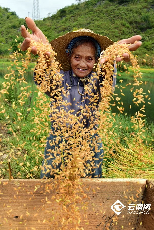 云南省文化和旅游厅