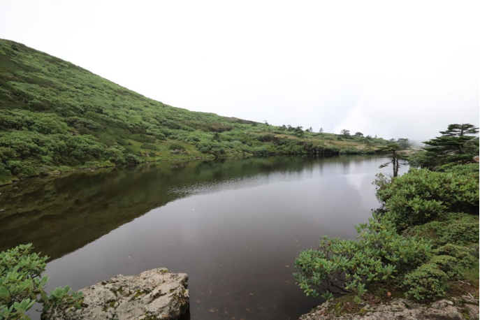 昆明轿子山旅游