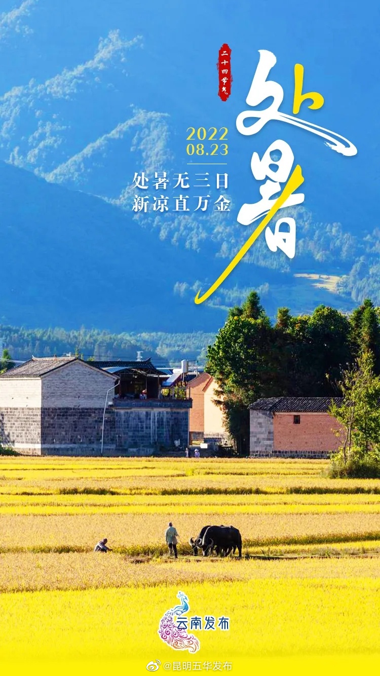 “昆明五华发布”微博