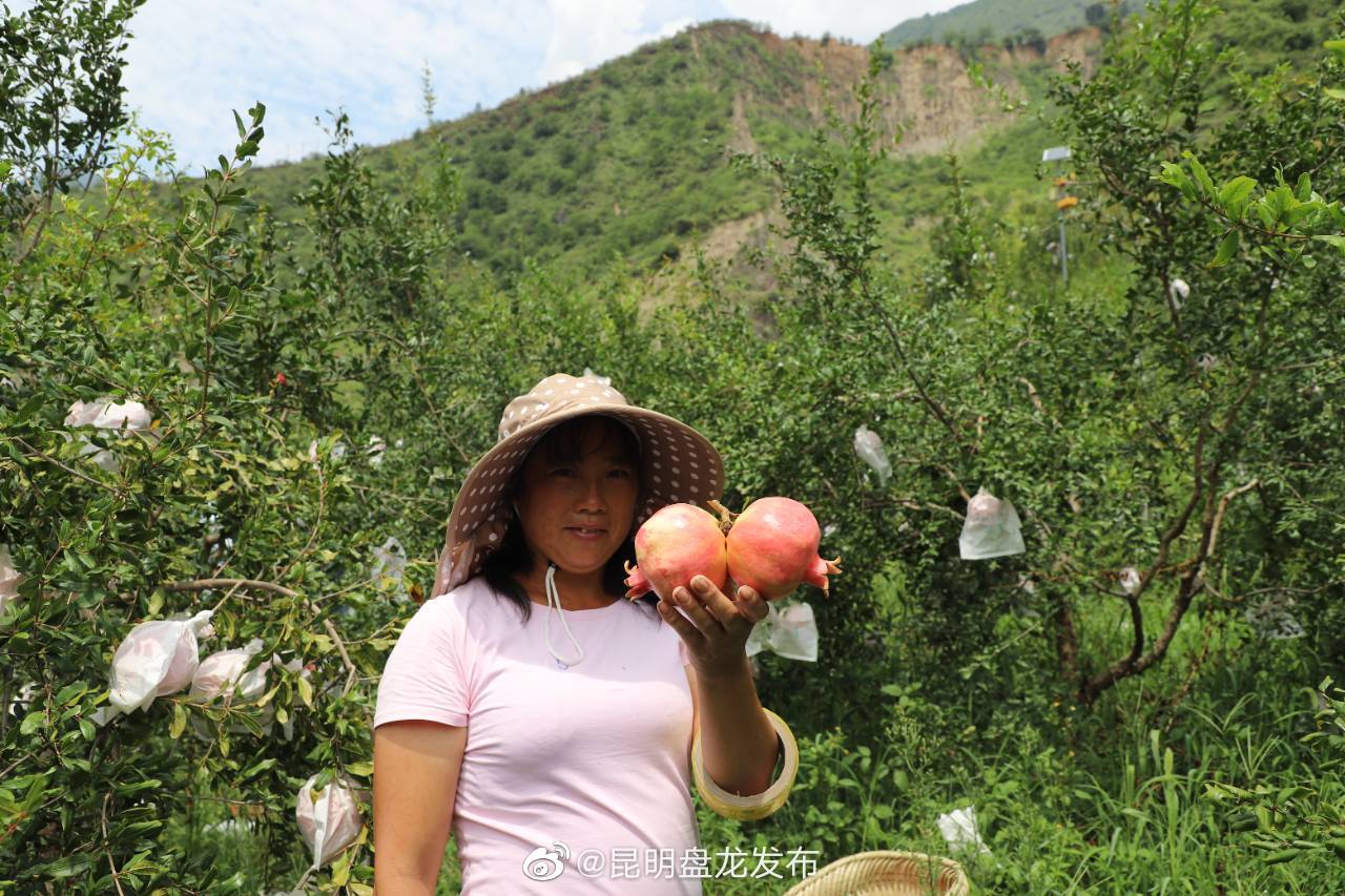昆明盘龙发布