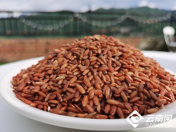 云南省文化和旅游厅