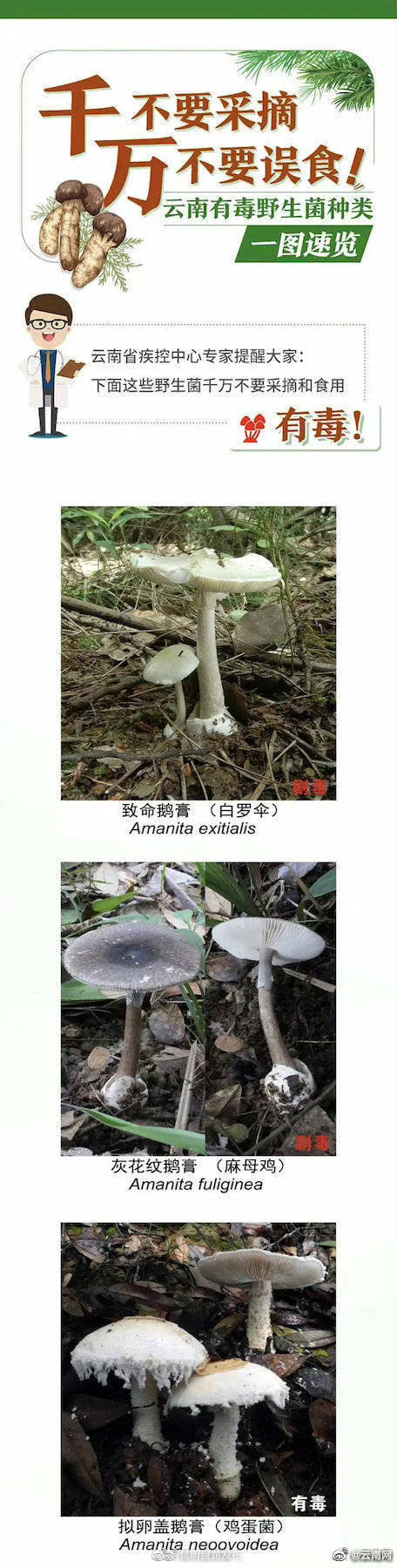 昆明盘龙发布