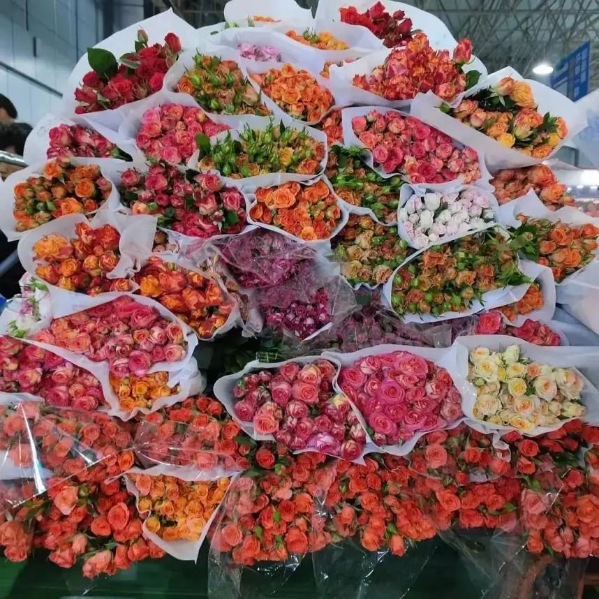 昆明文旅