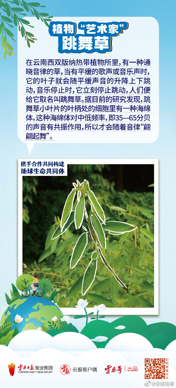 “云南发布”微博