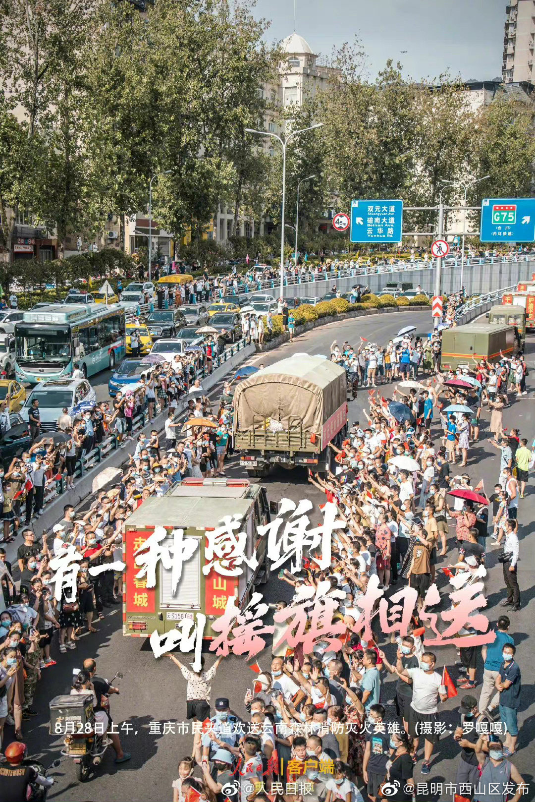 昆明市西山区发布