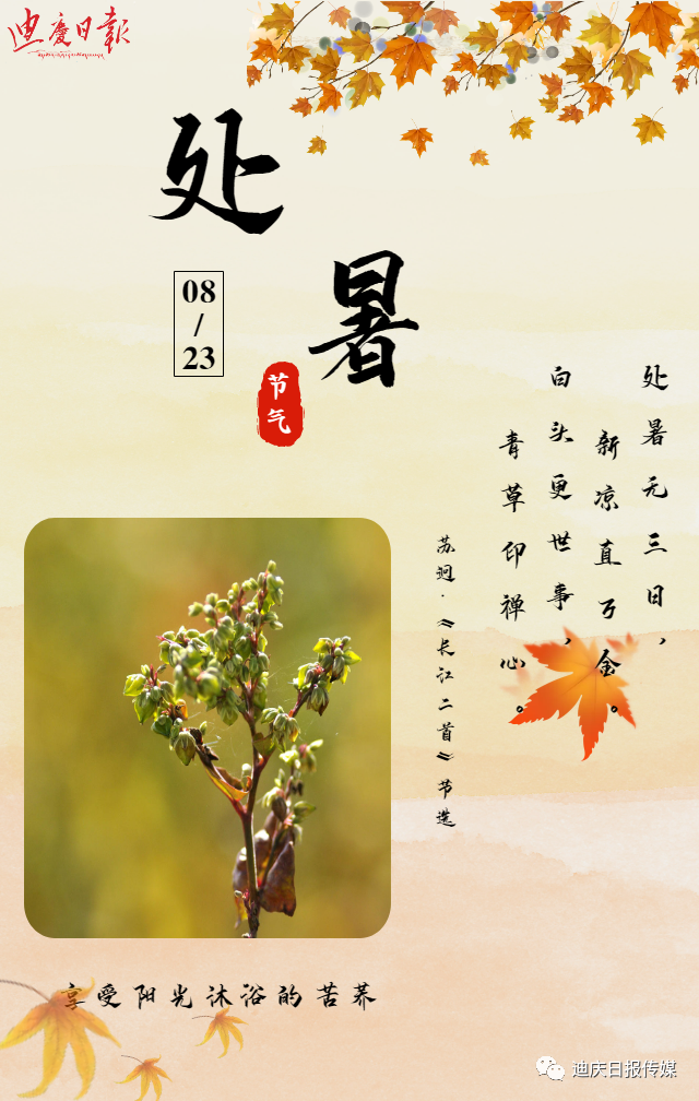 迪庆日报传媒
