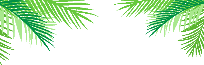 918云南交通台(微信)