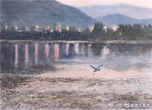 呈贡发布