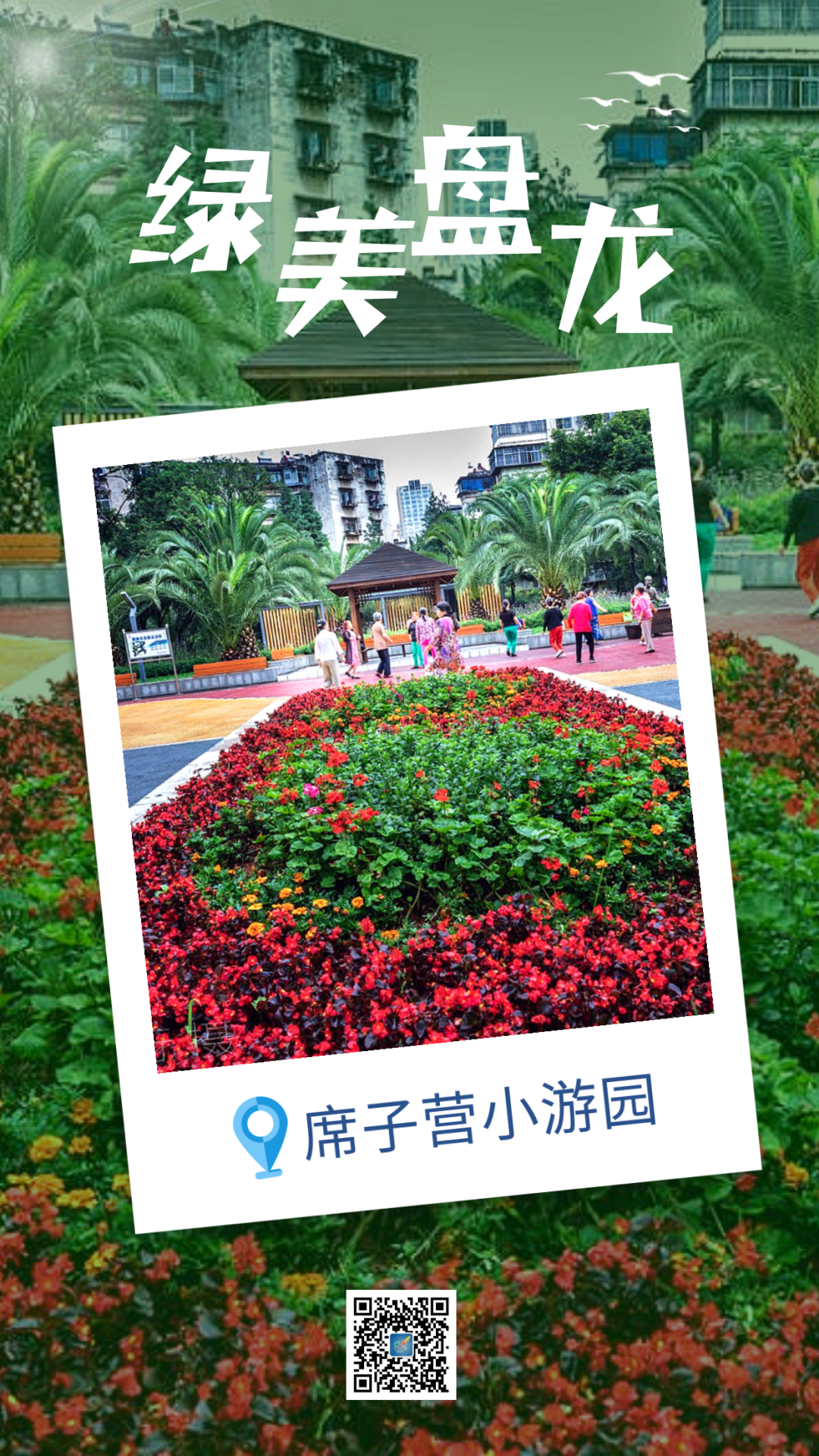 微观盘龙
