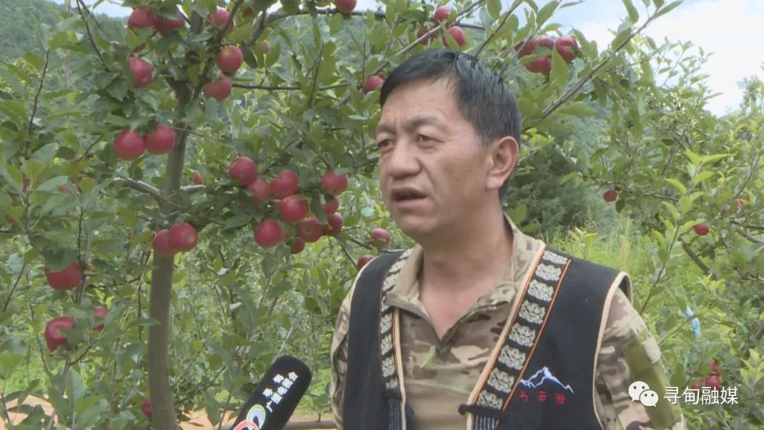 寻甸融媒