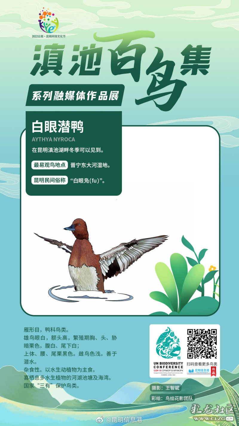 昆明信息港