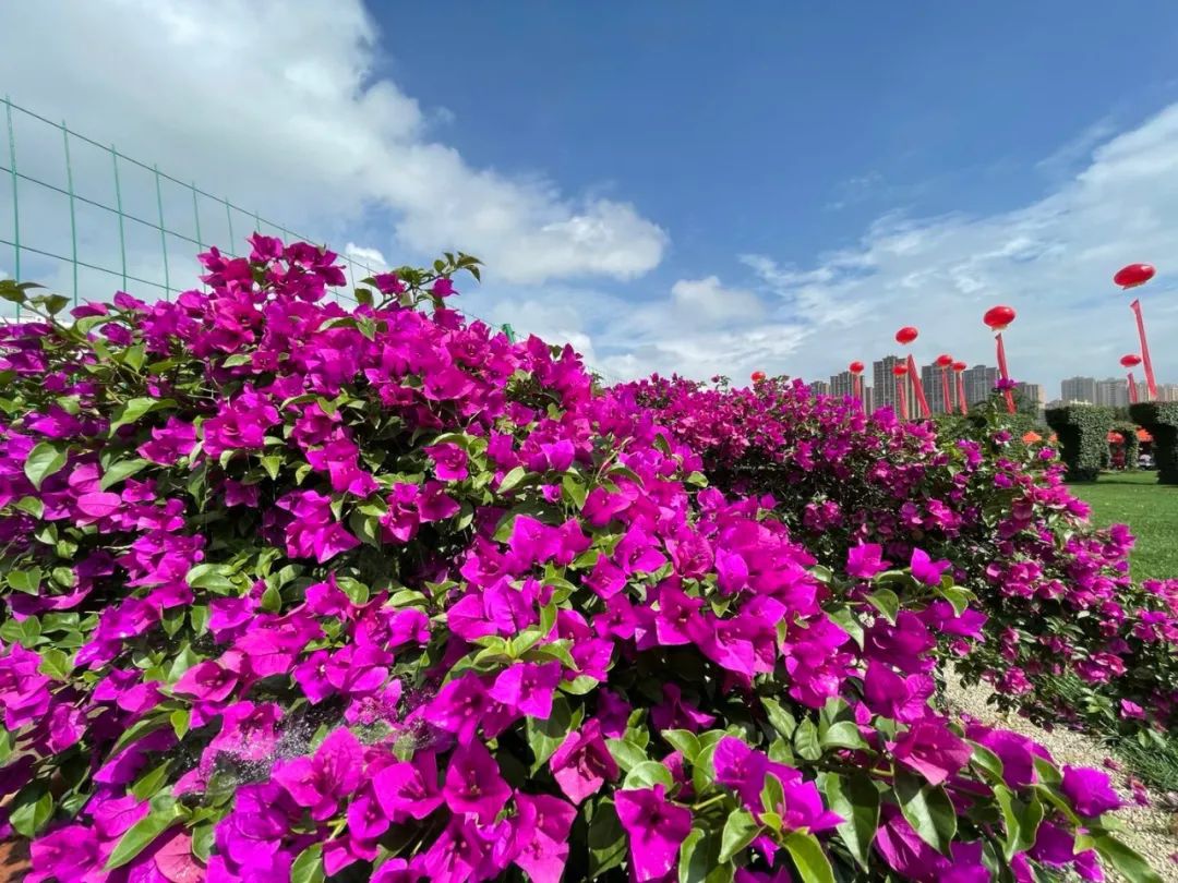 云南省人民政府网