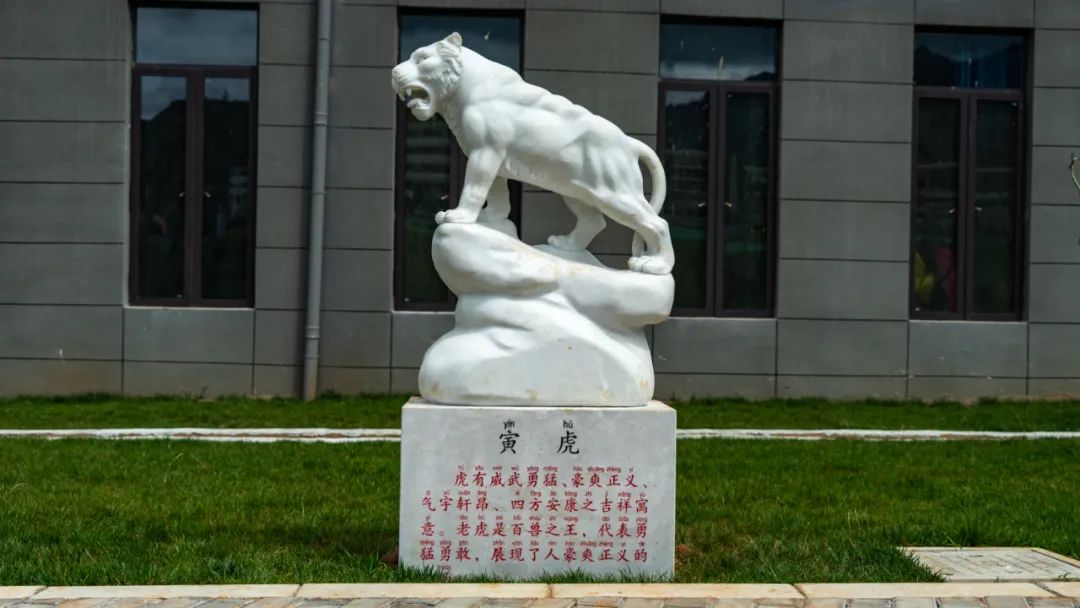 丽江日报