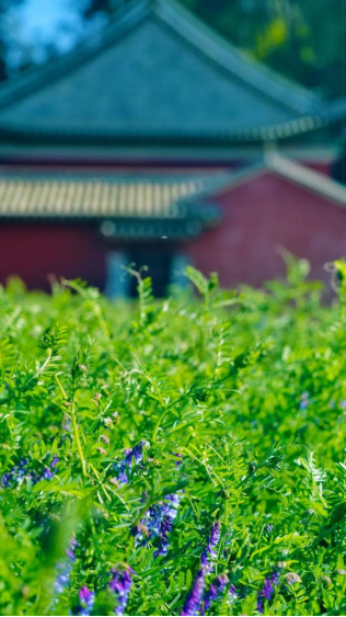 昆明文旅