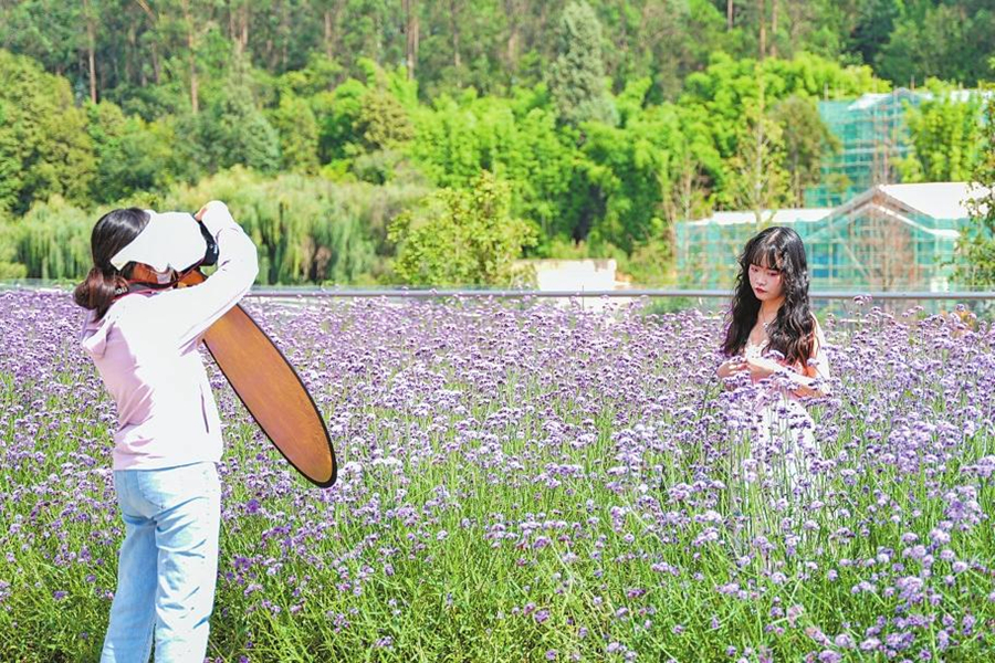 新华网云南频道