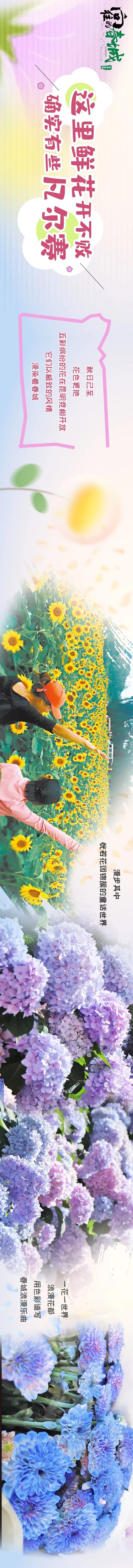 掌上春城