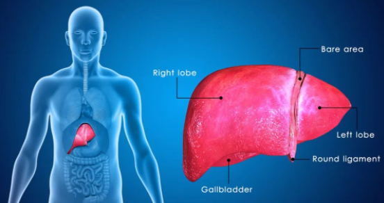 昆明国家高新区发布