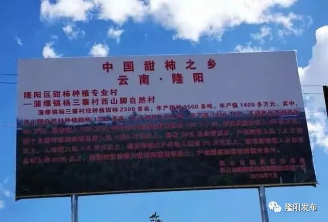 保山新闻网