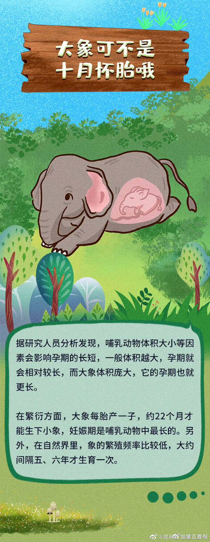 呈贡发布