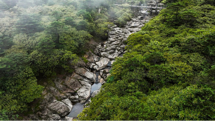 昆明轿子山旅游