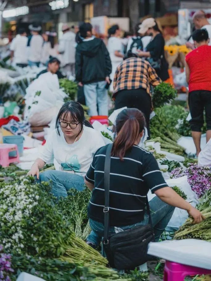 昆明发布