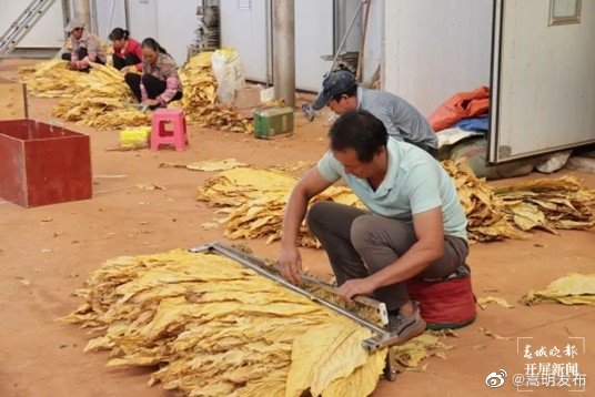 嵩明发布