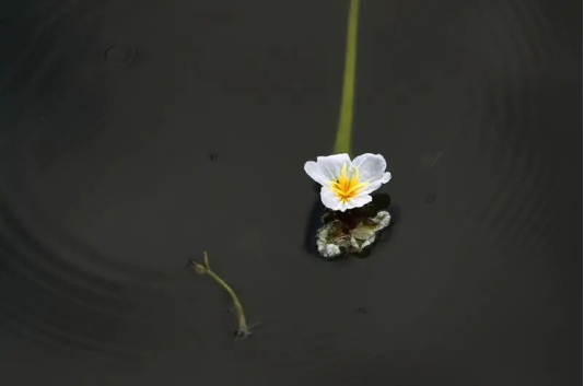 昆明文旅