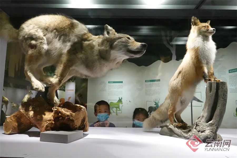 云南省文化和旅游厅